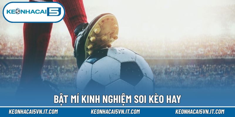 Kèo Handicap - Cập Nhật Nguyên Tắc Cá Độ Cho Người Mới 4 Chiến thuật nhận định kèo hữu ích