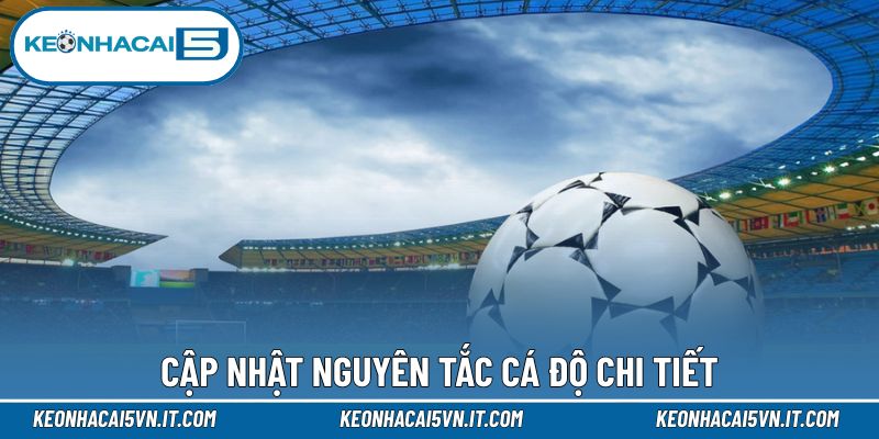 Kèo Châu Á - Bộ Môn Cá Độ Trực Tuyến Thịnh Hành Nhất 4 Những nguyên tắc bạn cần biết
