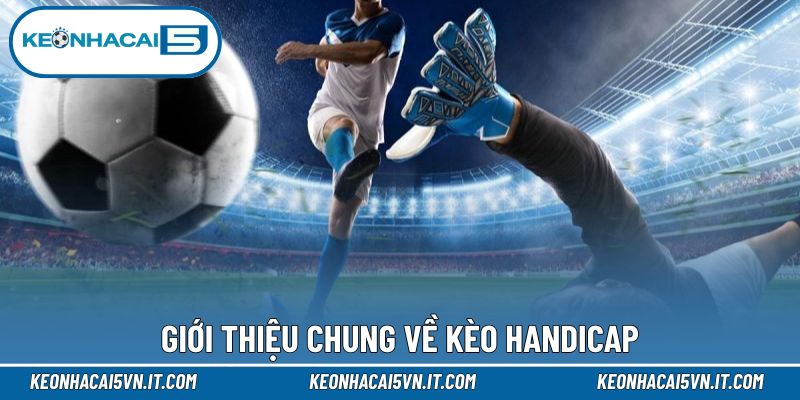 Kèo Handicap - Cập Nhật Nguyên Tắc Cá Độ Cho Người Mới 2 Tổng quan về kèo Handicap