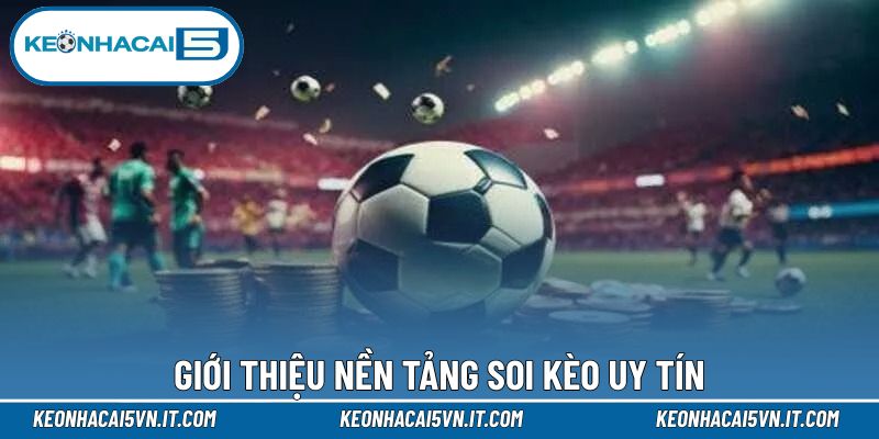 Giới Thiệu 1 Giới thiệu thiên đường soi kèo uy tín