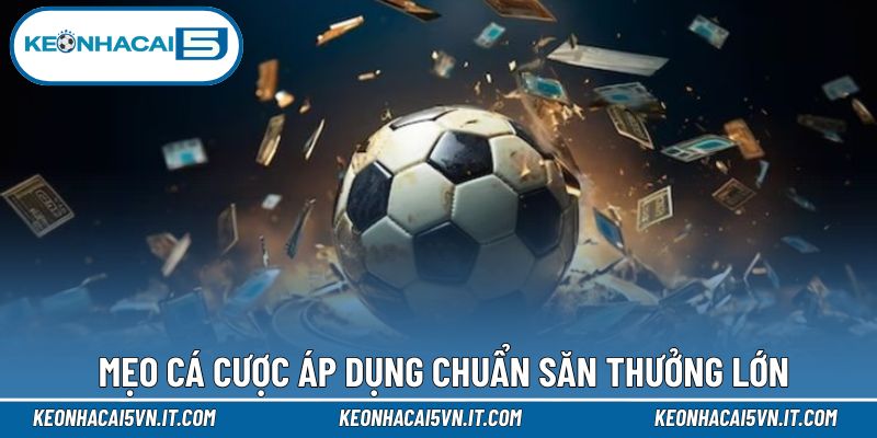 Mẹo cá cược áp dụng chuẩn săn thưởng lớn 