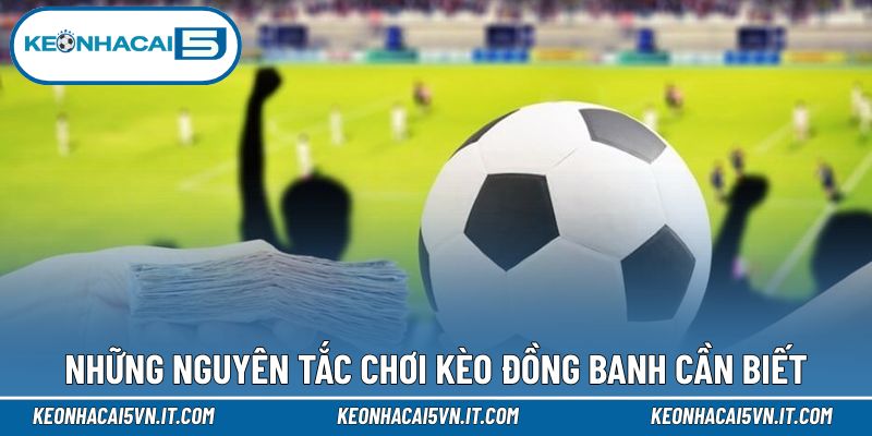 Kèo Đồng Banh - Những Quy Định Săn Thưởng Cần Biết 3 Luật lệ cơ bản hội viên cần biết