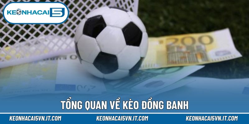 Kèo Đồng Banh - Những Quy Định Săn Thưởng Cần Biết 2 Những nét chính về kèo đồng banh