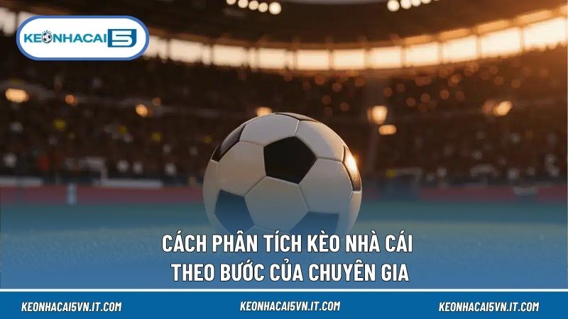 Cách Phân Tích Kèo Nhà Cái Từ A–Z Dành Cho Người Mới 3 Tìm hiểu tỷ lệ kèo là cách phân tích kèo nhà cái hàng đầu