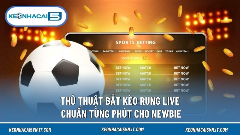 Thủ Thuật Bắt Kèo Rung Live
