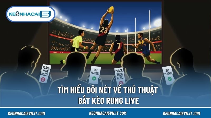 Thủ thuật bắt kèo rung live mang đến kiến thức hữu ích