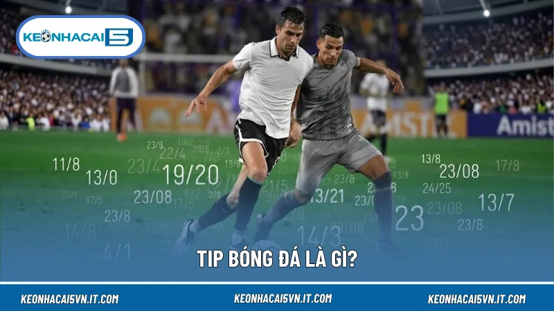 Tip Bóng Đá Là Gì? Gợi Ý Cách Phân Tích Và Sử Dụng Tip Hiệu Quả 2 Tip bóng đá là gì? Đây là những nhận định dựa trên phân tích phong độ, đội hình và các yếu tố trước trận đấu