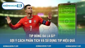 Tip Bóng Đá Là Gì? Gợi Ý Cách Phân Tích Và Sử Dụng Tip Hiệu Quả